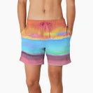 Speedo Men's Redondo Edge Volley 17"