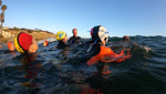 Guided Swim in La Jolla Cove by Adriana!