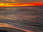 Guided Swim in La Jolla Cove by Adriana!