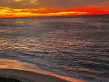 Guided Swim in La Jolla Cove by Adriana!