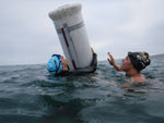 Guided Swim in La Jolla Cove by Adriana!