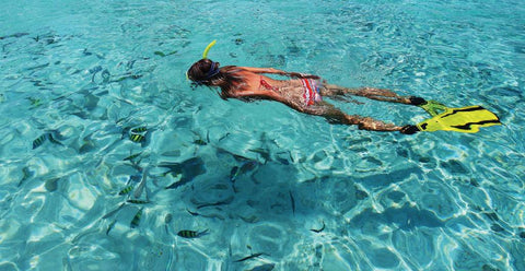 SNORKEL, MASK and FINS RENTAL